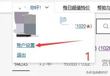 ebay美國介紹（分享跨境電商平臺之ebay美國站的相關信息）