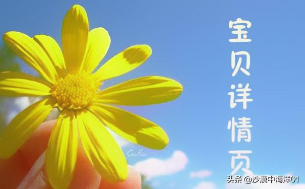 淘寶客服不回消息怎么辦？淘寶商家不回復(fù)買家消息的解決辦法