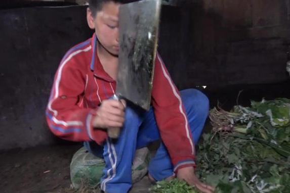 壹號土豬創(chuàng)始人陳生簡介（壹號土豬集團董事長陳生背景故事及發(fā)展）