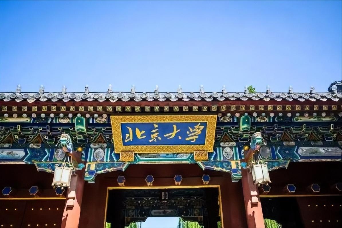 壹號土豬創(chuàng)始人陳生簡介（壹號土豬集團董事長陳生背景故事及發(fā)展）
