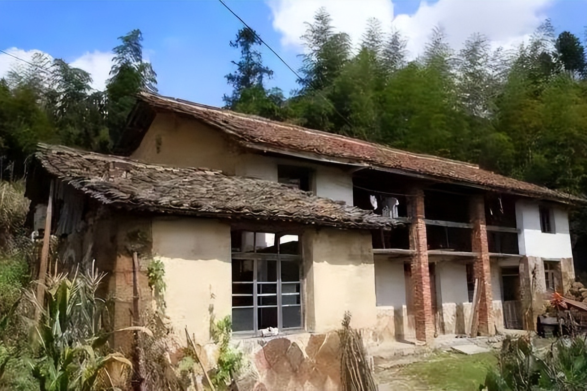 壹號土豬創(chuàng)始人陳生簡介（壹號土豬集團董事長陳生背景故事及發(fā)展）
