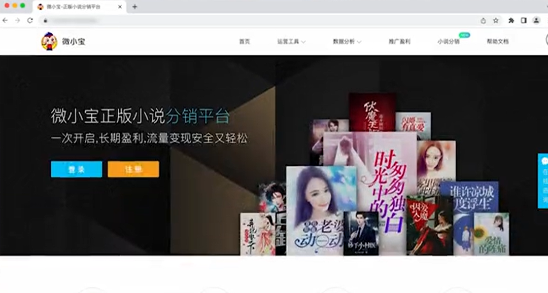 小說推廣接單平臺（小說推廣平臺排行榜推薦）
