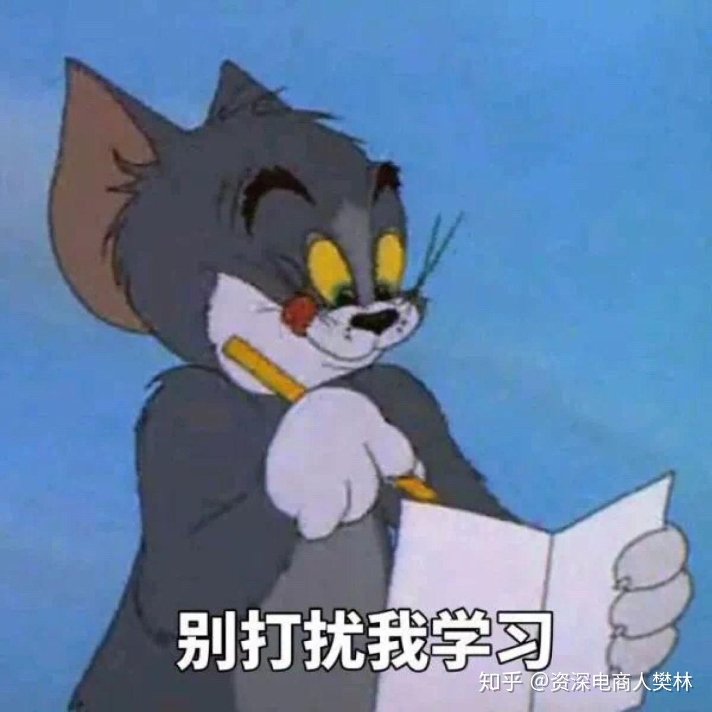 什么是淘寶直通車？直通車新手必看的知識