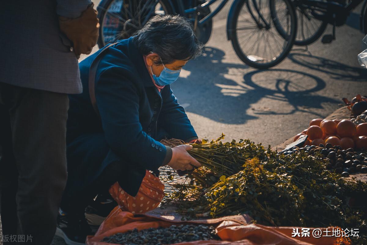 貨比三家是什么意思？農(nóng)村俗語貨比三家不吃虧的文案和道理