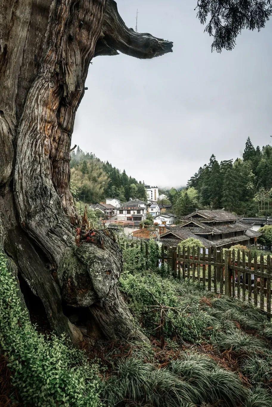 包郵區有哪些？關于國內包郵地區的全面介紹及原因分析