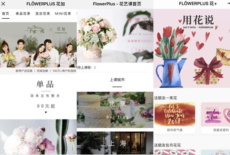 花加鮮花官網(wǎng)怎么樣？鮮花電商Flowerplus花加的運營模式及發(fā)展動態(tài)