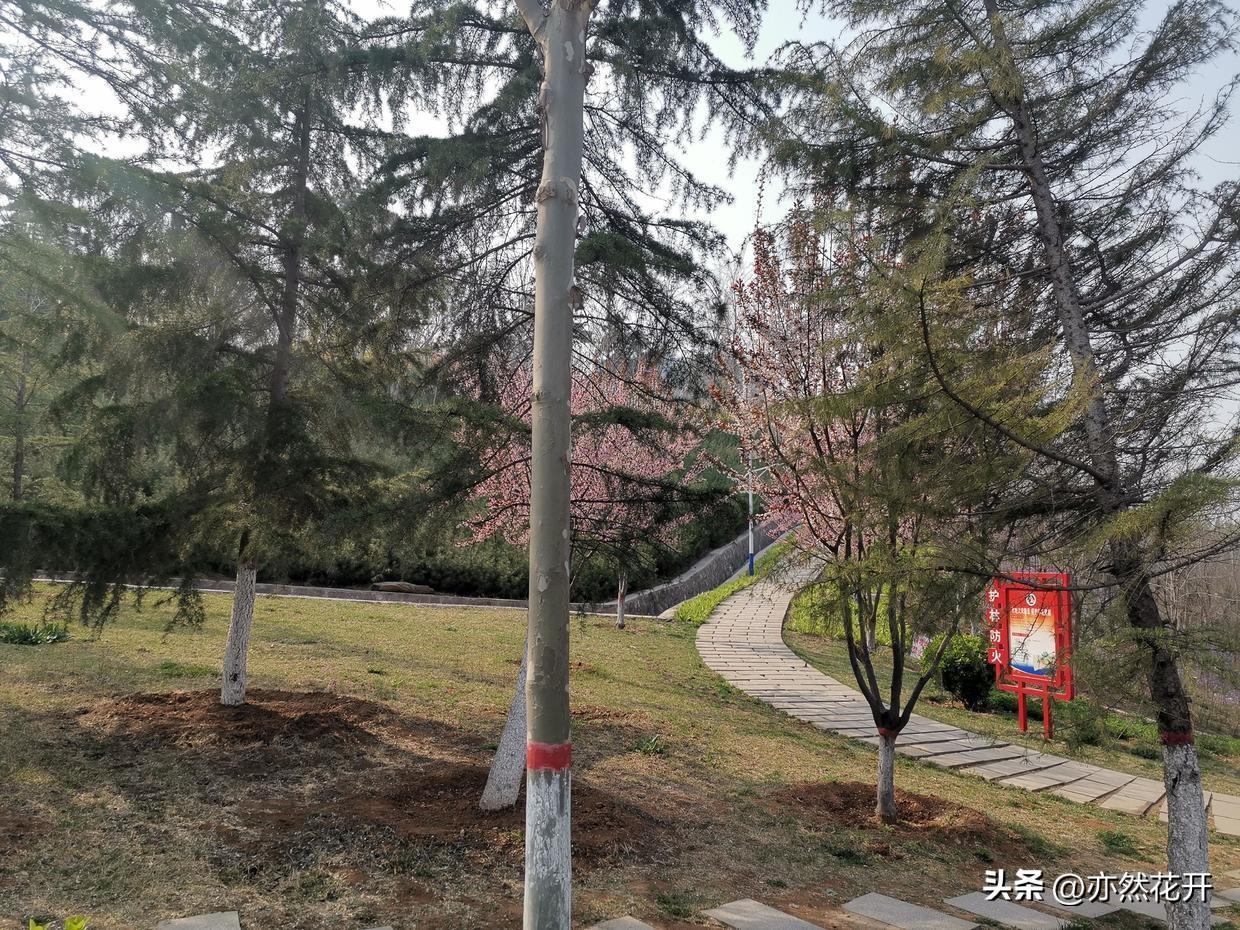 產品介紹怎么寫（產品介紹范文模板100字）