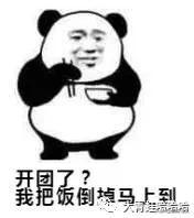 網絡用語開團是什么意思?。块_團的意義的介紹及用法分析
