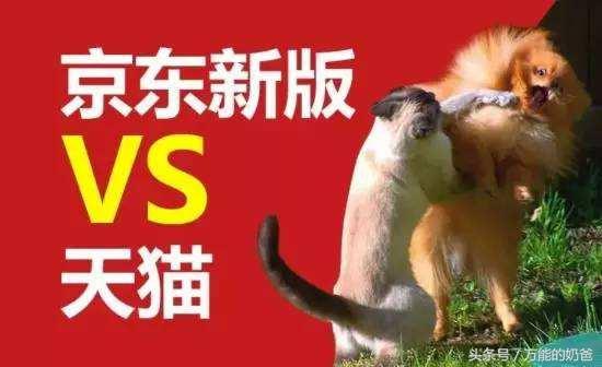 京東和淘寶的區別在哪里？帶你了解兩大電商平臺的區別及優勢對比分析
