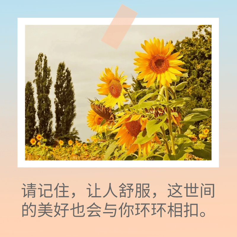 京東白條提額技巧（京東白條提前還款的流程方法介紹）