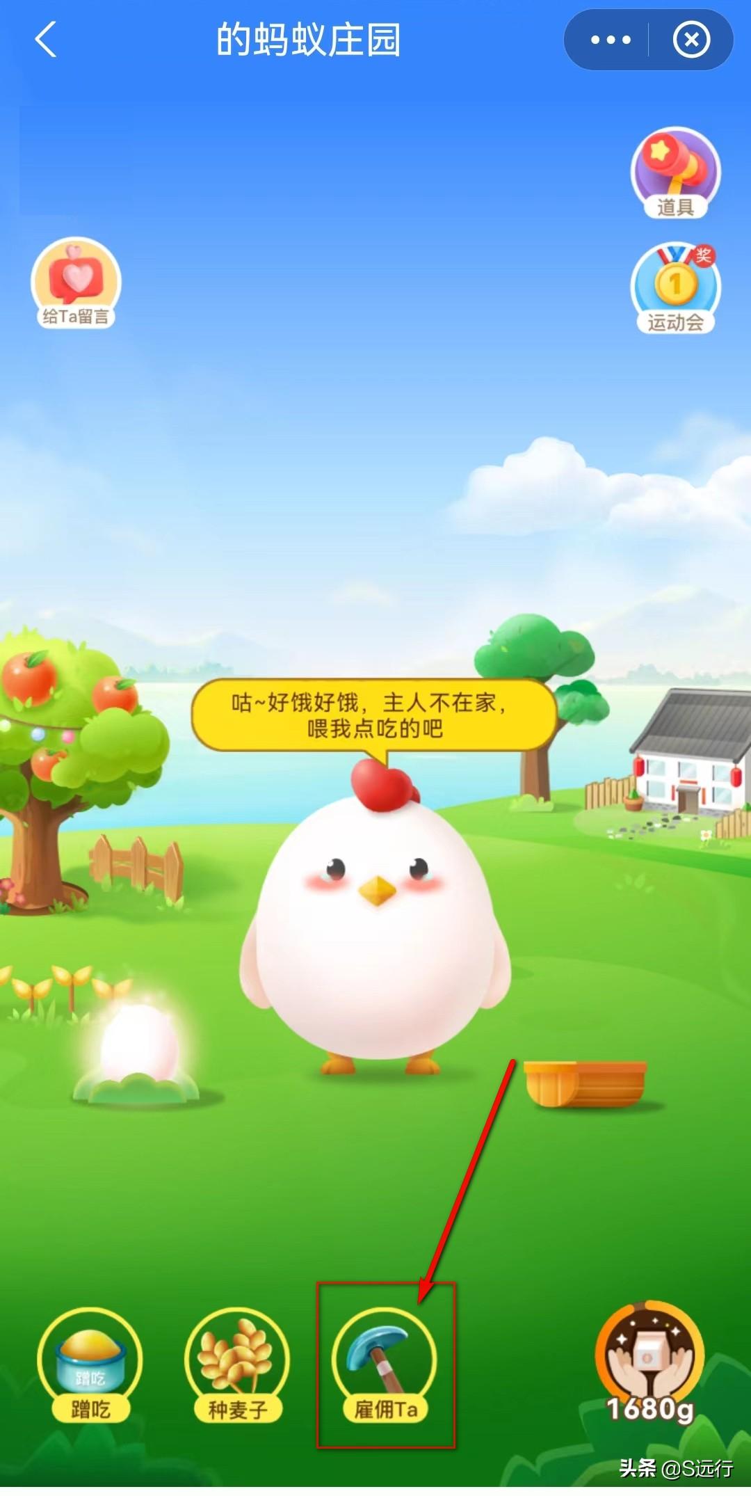 支付寶的螞蟻莊園怎么玩？支付寶莊園被打跑的小雞怎么請回來？