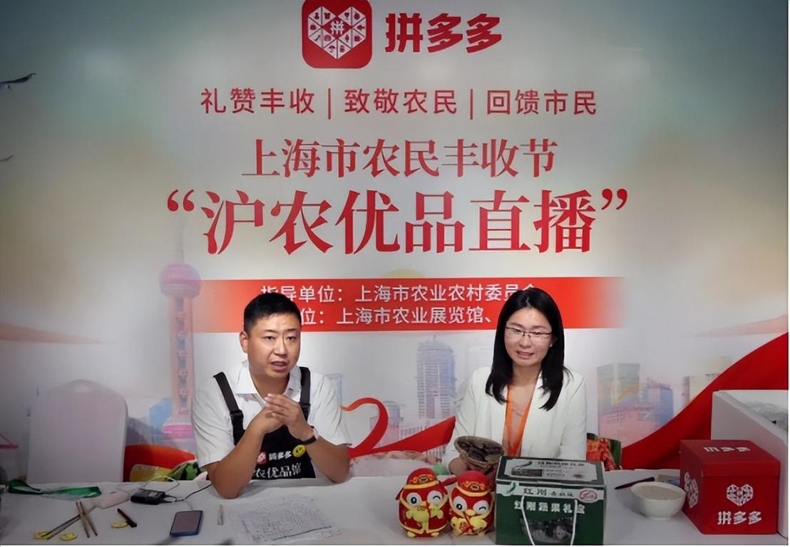 拼多多怎么賺錢盈利？拼多多平臺的運營模式和盈利模式是怎樣的？