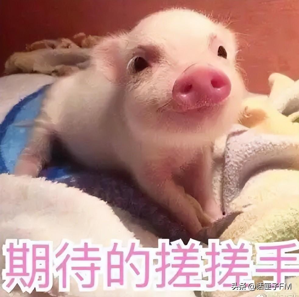 電子購物券如何購買？電子購物券使用教程圖一覽