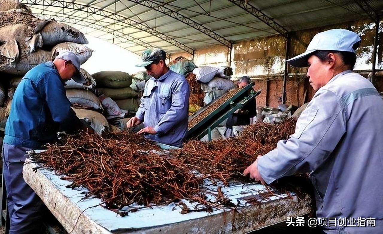 什么東西好賣(mài)？適合新手做的十大冷門(mén)暴利生意