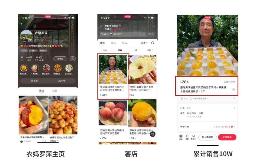小紅書賺錢渠道有哪些？小紅書什么類型博主比較掙錢？