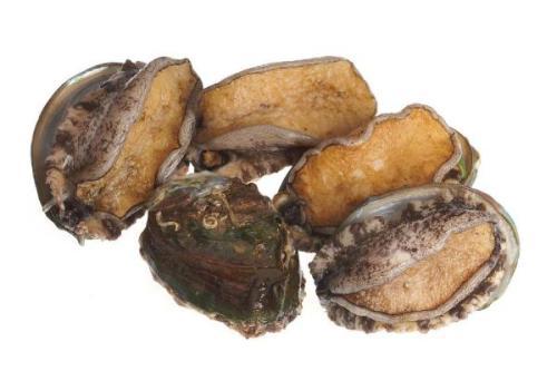 常吃的海產(chǎn)品有哪些？十大常見海鮮種類