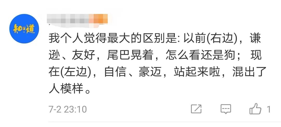 京東圖標為什么是一只狗？京東圖標含義詳解