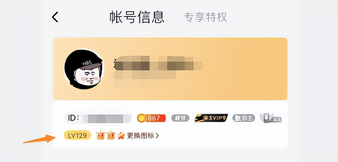 qq超級(jí)會(huì)員有什么功能？解析QQ超級(jí)會(huì)員的權(quán)益及快速提等級(jí)的方法