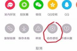 視頻怎么做手機動態(tài)壁紙？抖音視頻設(shè)置成手機屏保的方法