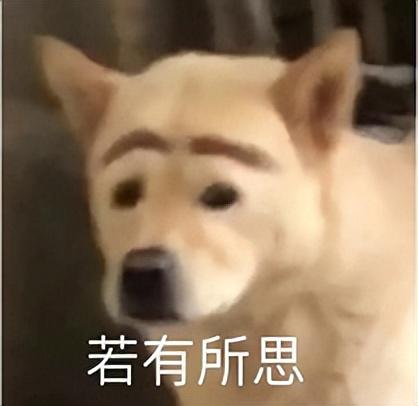 全網比價最好的app（剁手黨必備的省錢購物軟件介紹）