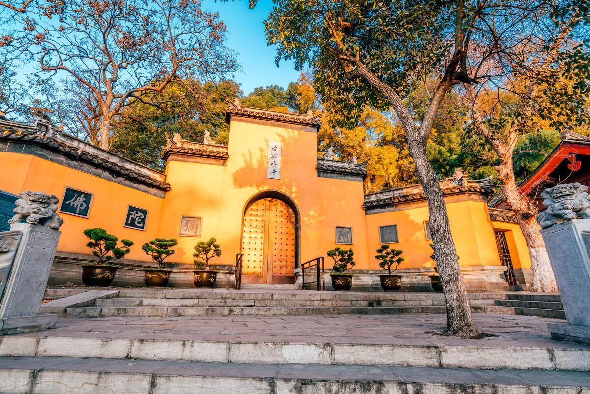在抖音拍短視頻怎么賺錢？抖音短視頻變現規則及制作視頻技巧