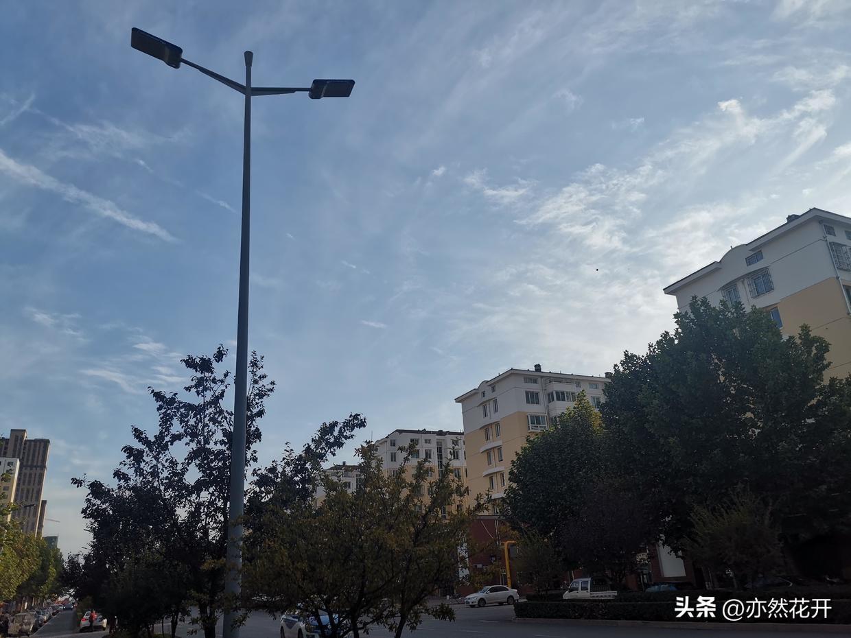 申請的意思是什么？申請人聲明的含義解釋及和申請書的區別