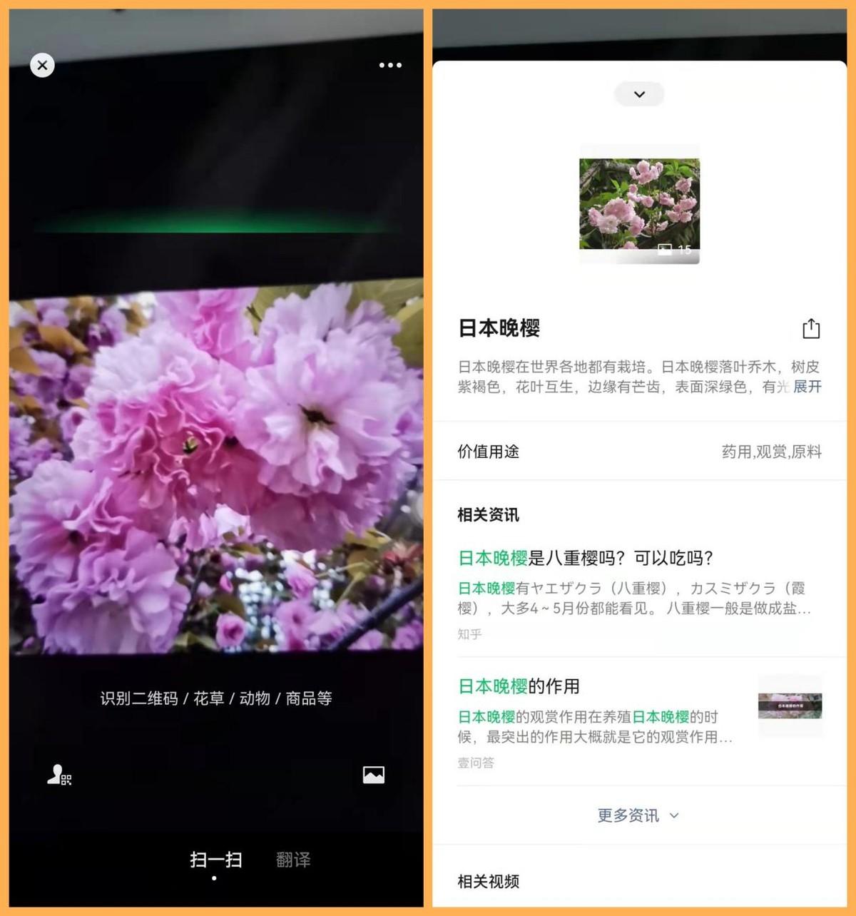 掃一掃功能使用了什么識別方式？微信掃一掃的功能介紹及玩法