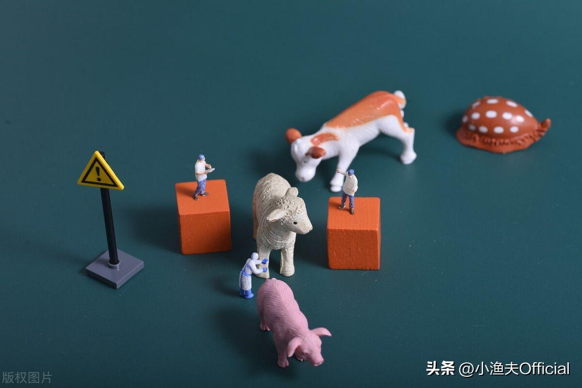 線下物流是什么意思？跨境電商線上發貨與線下發貨的主要區別是什么