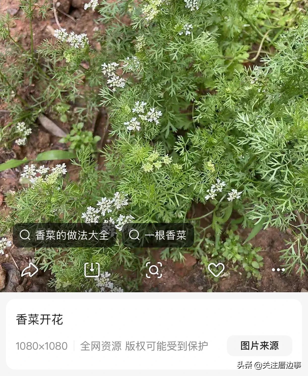 蹭熱度是什么意思？關于趁熱度與蹭熱度的區別是什么？