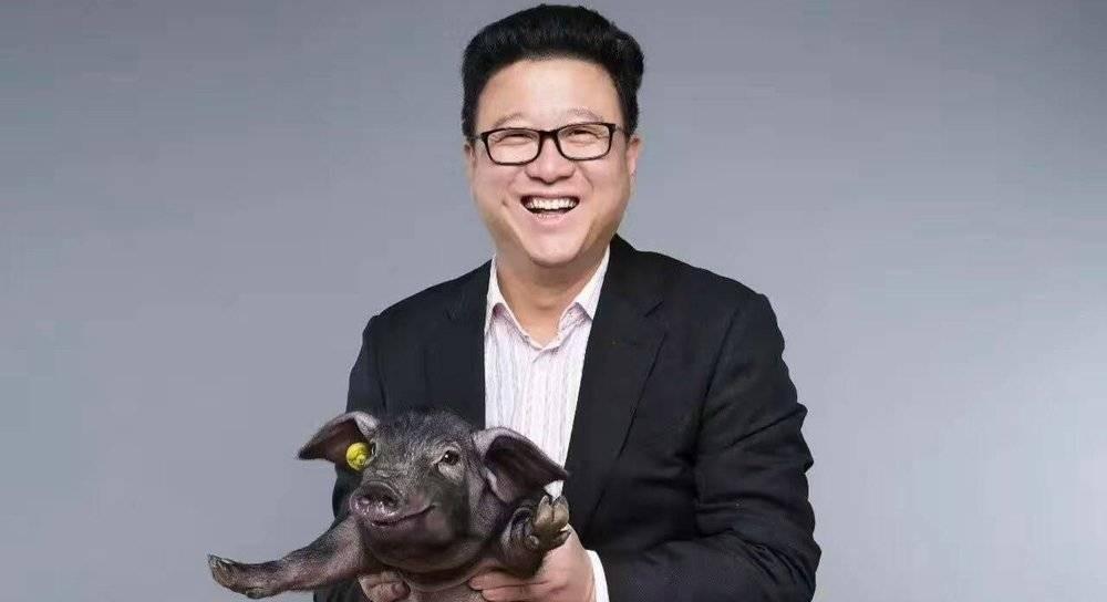 網易養豬場是什么意思？網易智能養豬平臺的生存現狀及動態
