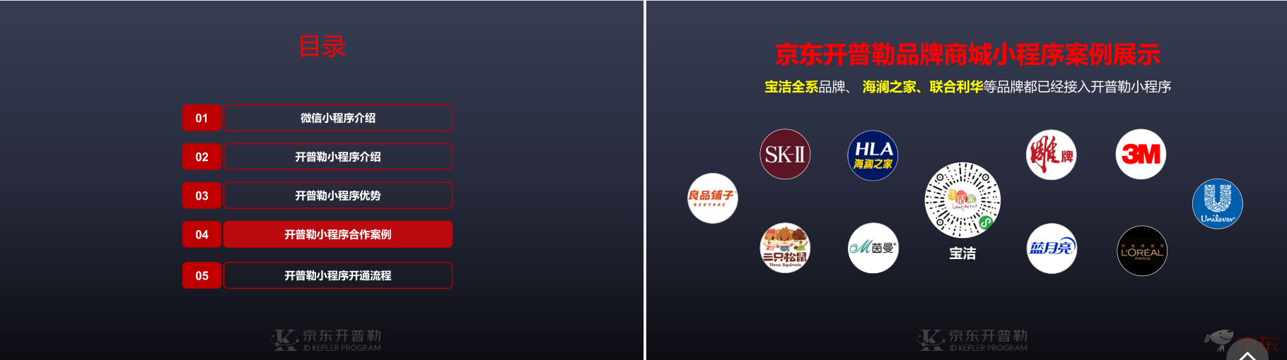 京東開普勒小程序（京東開普勒詳細介紹)