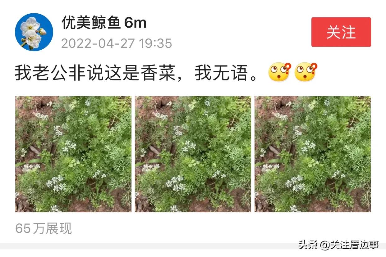 蹭熱度是什么意思？關于趁熱度與蹭熱度的區別是什么？