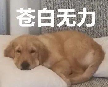 注銷京東白條有什么影響？京東白條還完注銷影響征信嗎？