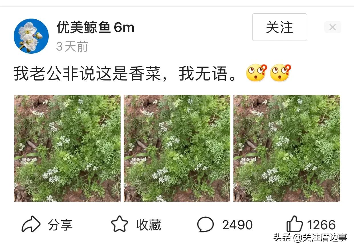 蹭熱度是什么意思？關于趁熱度與蹭熱度的區別是什么？