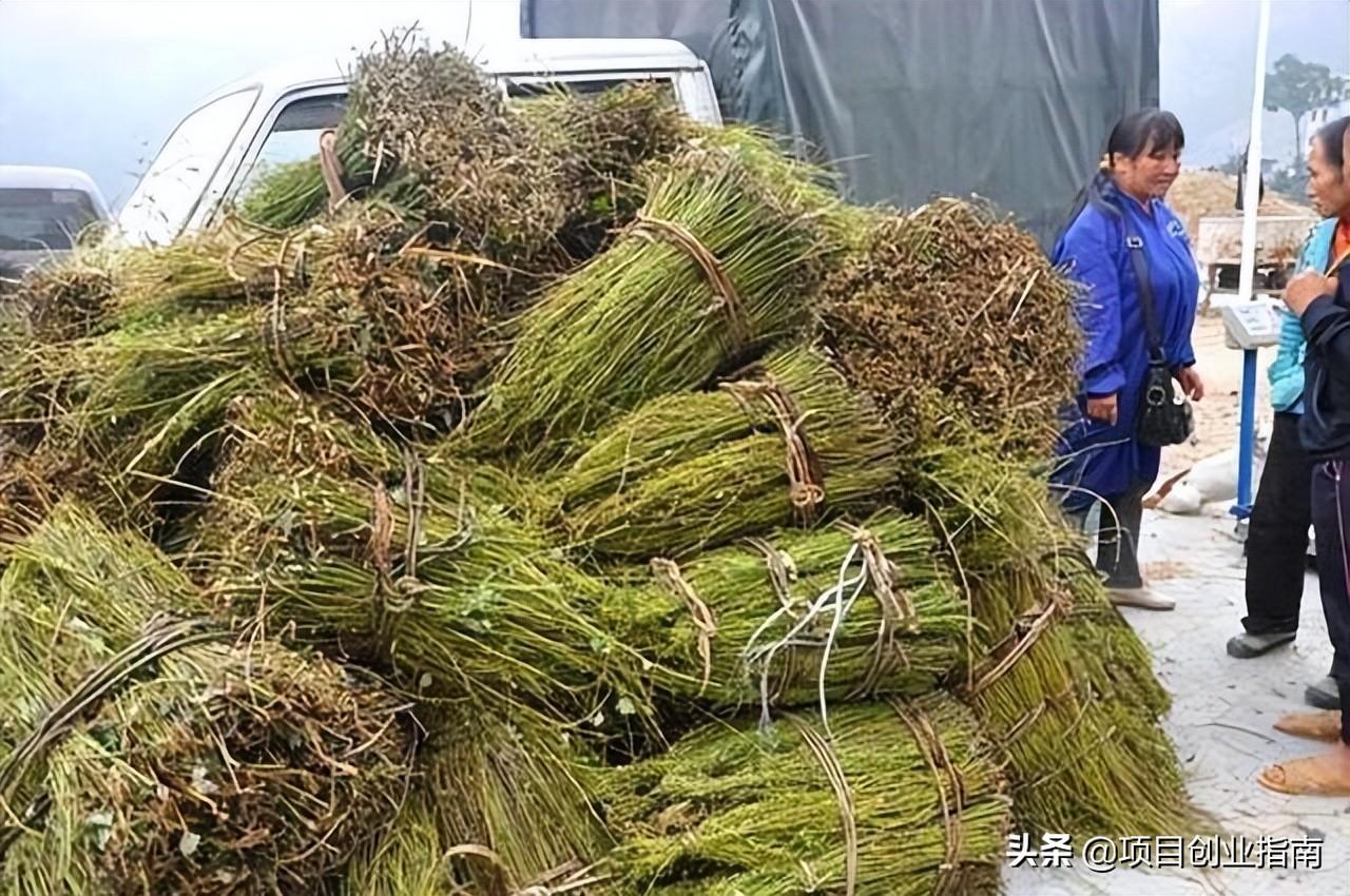 什么東西好賣(mài)？適合新手做的十大冷門(mén)暴利生意