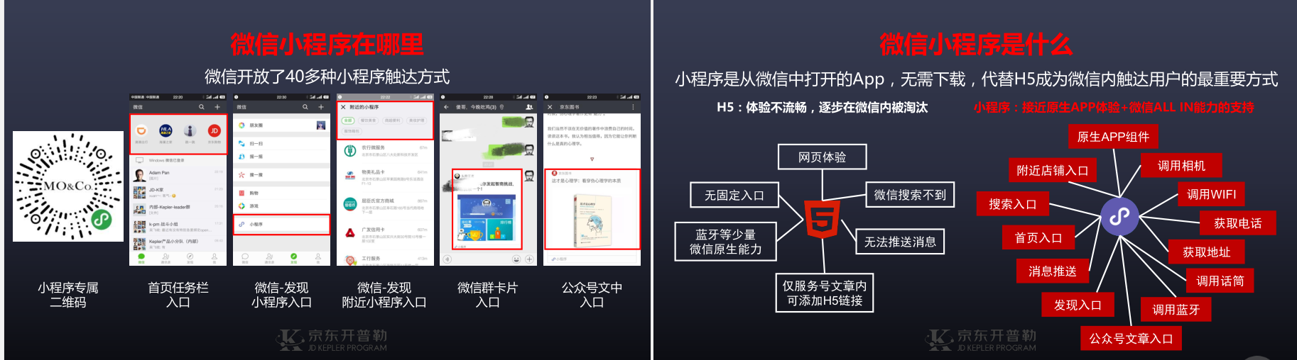 京東開普勒小程序（京東開普勒詳細介紹)