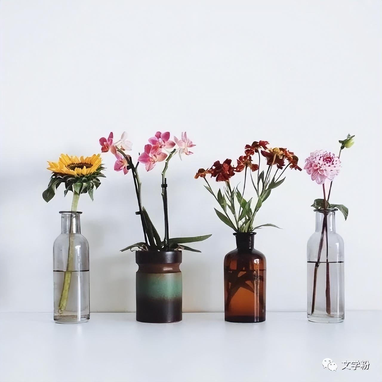 抖音熱門話題文案怎么寫？抖音吸引人點贊關注的文案句子