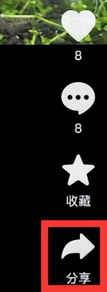 抖音如何合拍別人的視頻？圖文教學抖音合拍短視頻的方法和技巧