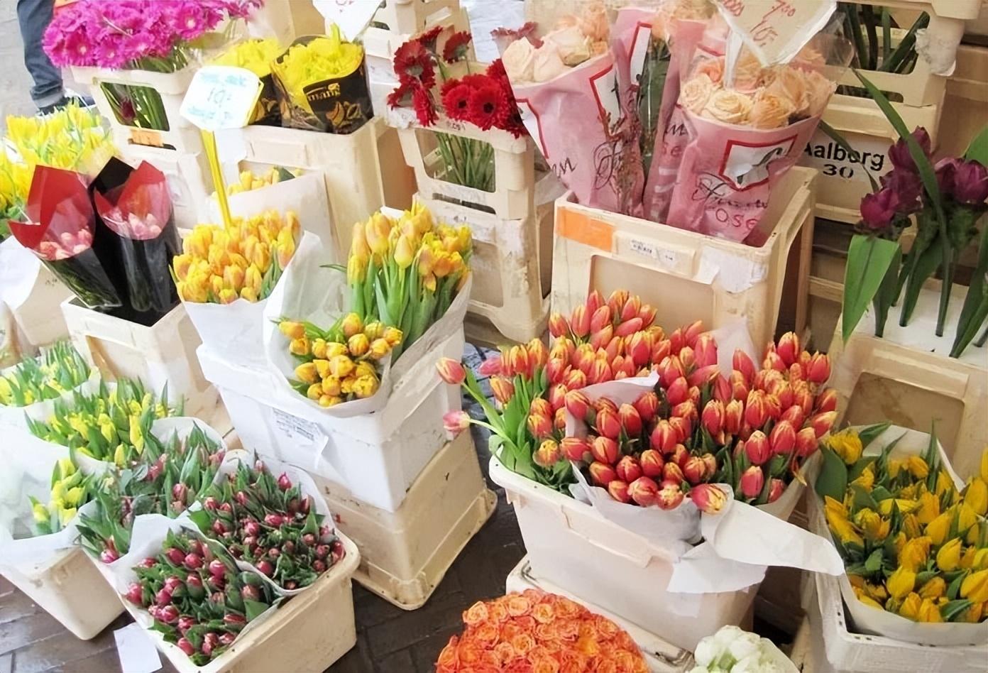 創(chuàng)業(yè)開花店怎么樣？2023新手開花店的流程及費(fèi)用明細(xì)