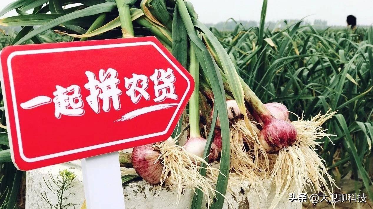 拼多多一塊買一萬單怎么買的？拼多多買九塊九的商品搜什么？