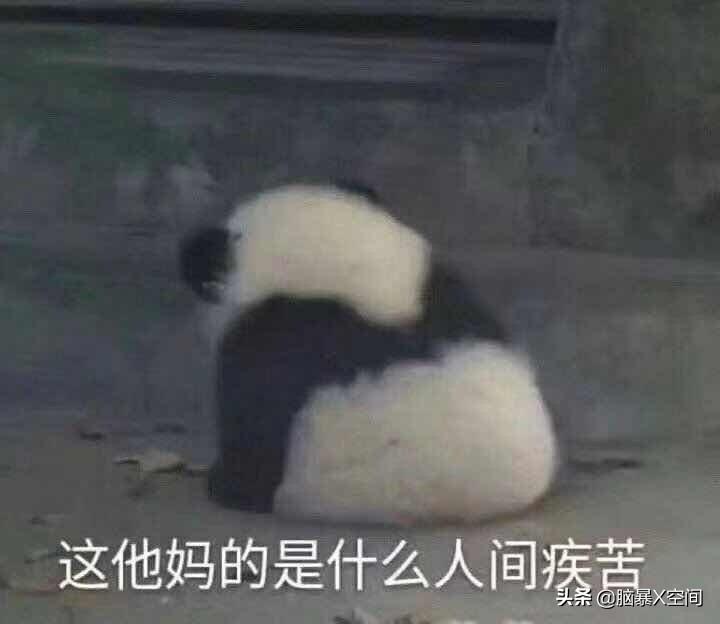 飛豬搶票成功率高嗎？候補票是沒放票還是賣完了？
