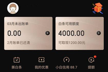 京東白條激活失敗是怎么回事？京東白條開通失敗的解決辦法介紹