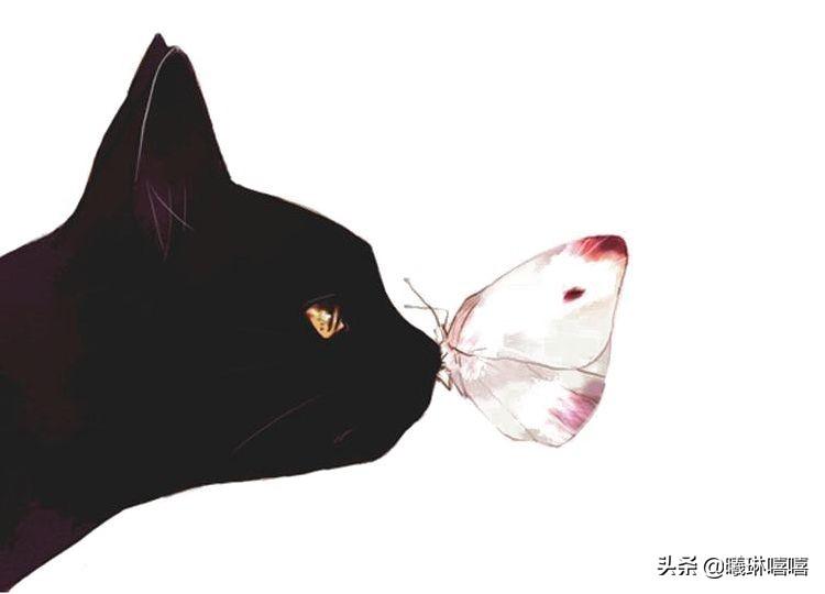 詳情圖是什么意思？淘寶詳情圖制作方法技巧有哪些
