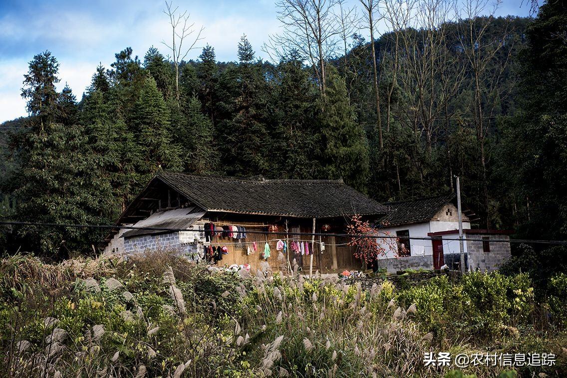 家庭養殖好項目有哪些？不愁銷路可致富的農村養殖項目推薦