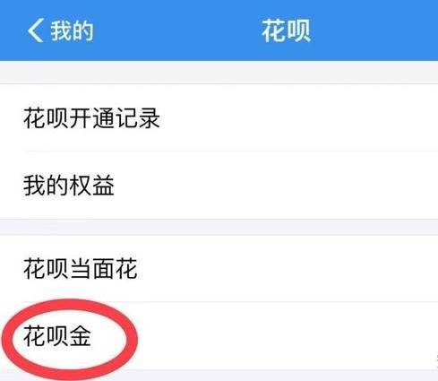 花唄金是什么意思？支付寶花唄金的含義解釋及功能介紹
