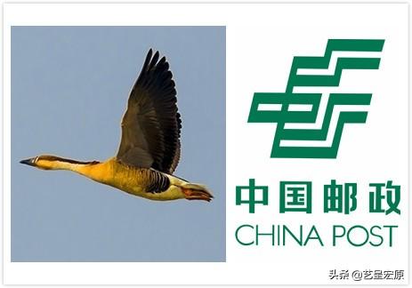順豐圖標的含義是什么？十家物流快遞公司logo設計釋義講解