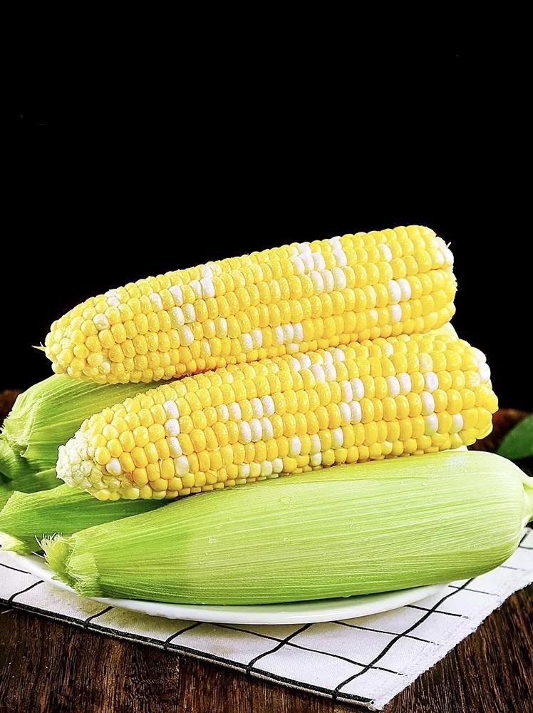 新致富項(xiàng)目種植（2023年不愁銷路的種植模式推薦）
