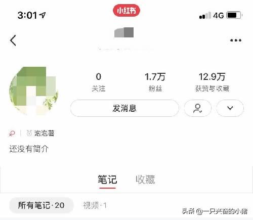 小紅書推廣方案模板（解析小紅書推廣流程及注意事項）
