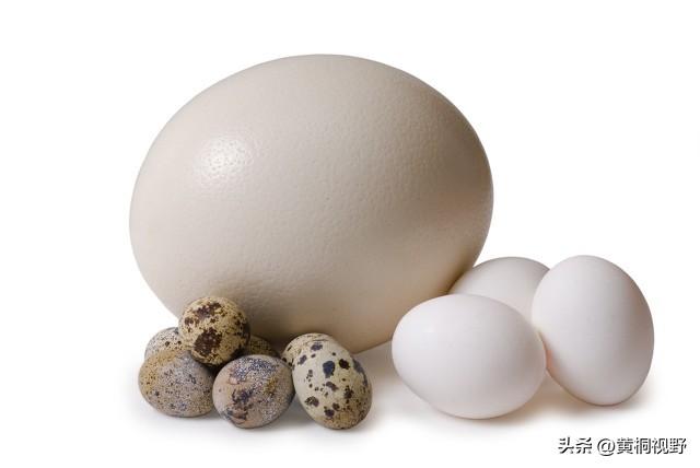 小型養(yǎng)殖什么最賺錢(qián)？2023國(guó)家扶持養(yǎng)殖業(yè)最賺錢(qián)項(xiàng)目推薦
