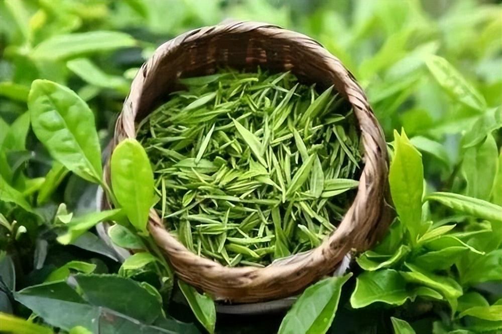 開茶樓的利潤和風(fēng)險(xiǎn)？盤點(diǎn)新手開茶室的必備條件有哪些